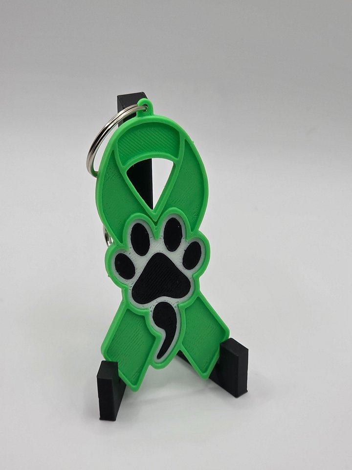💚 Green Awareness Ribbon Keychain | Dog Paw Semicolon product image (2)