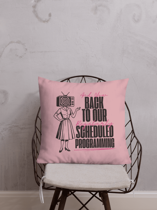 The Programming: Decorative Pillow product image (5)