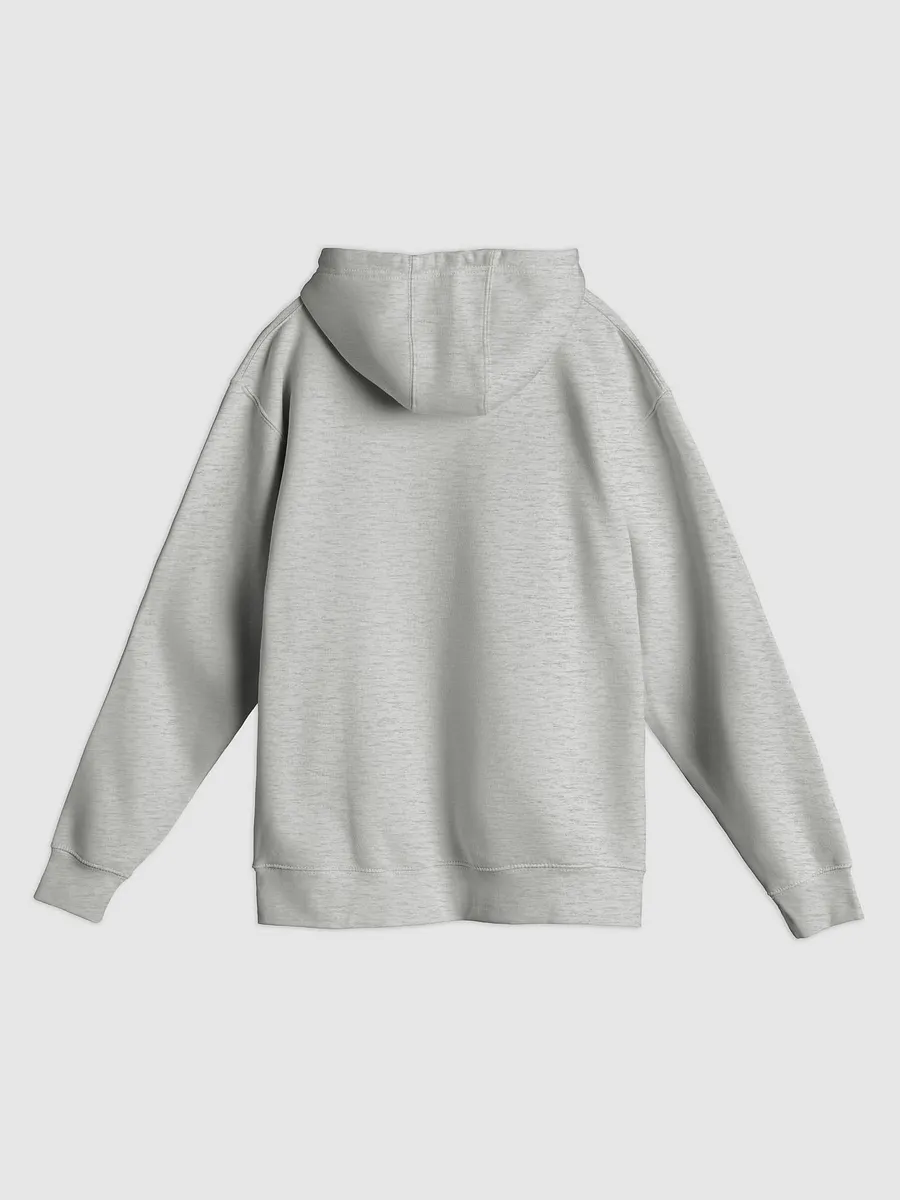 East Coast Collegiate Style Hoodie product image (4)
