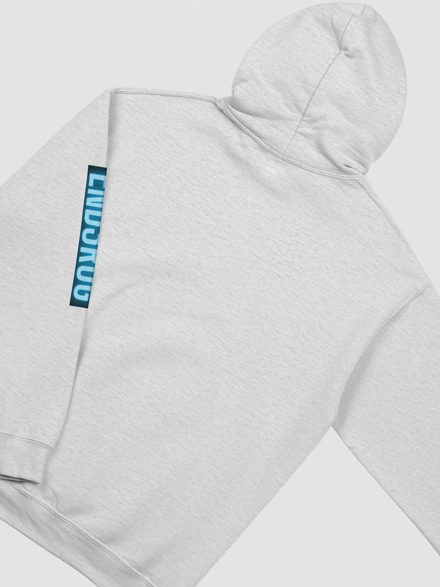 Raccoon hoodie product image (4)