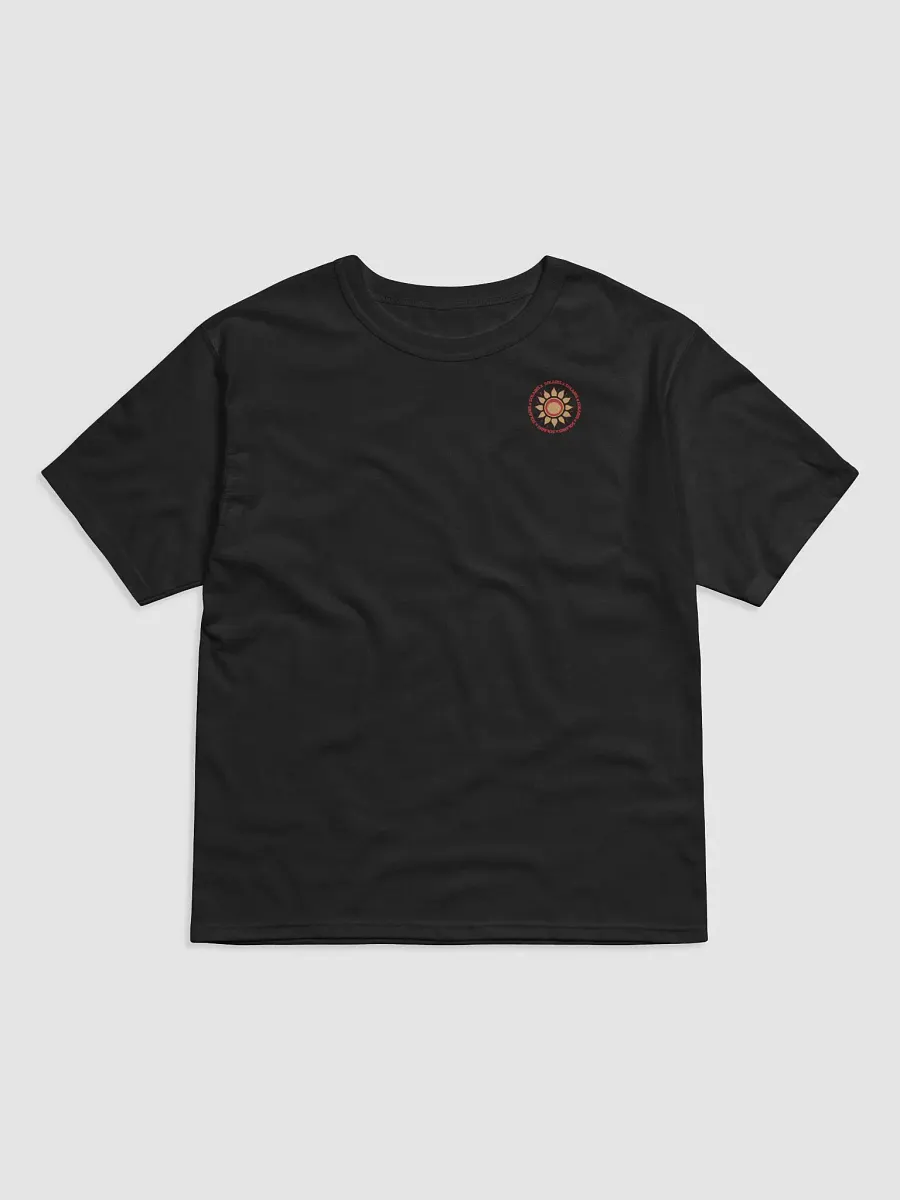 Solaris x Champion Relaxed Fit T-Shirt product image (1)