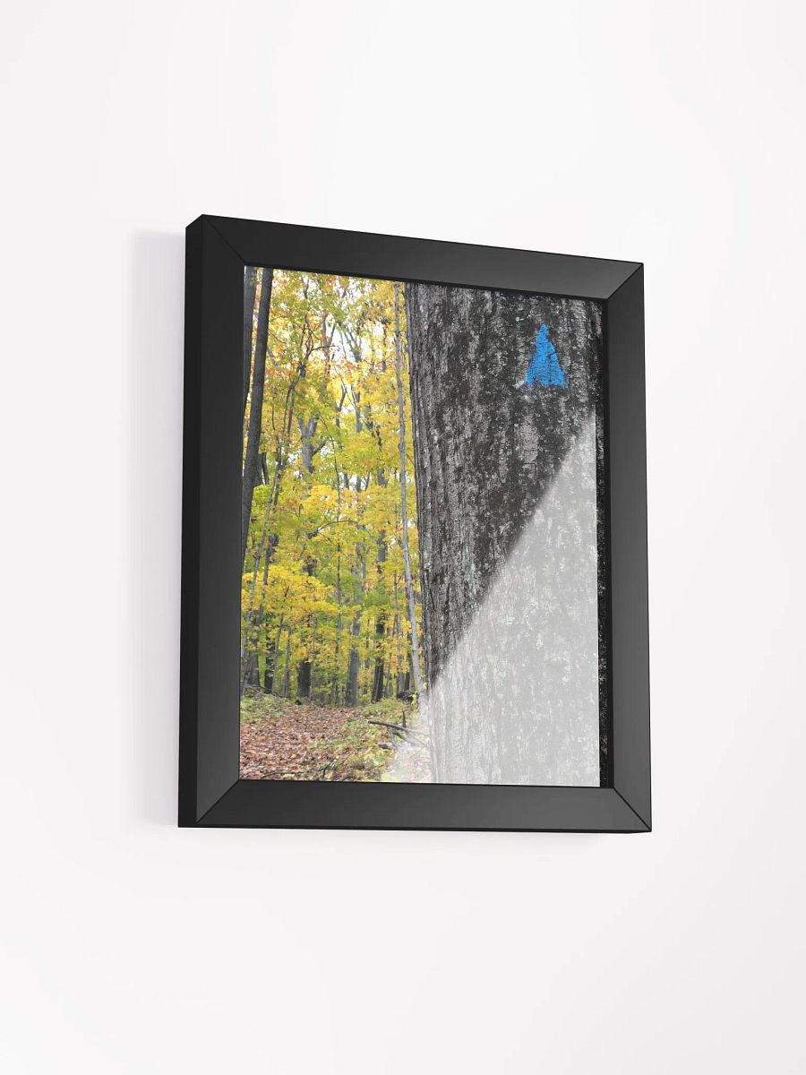 Up Ahead Fall Forest High Quality Matte Poster product image (2)