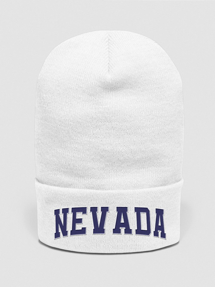 Nevada Vintage Stylish Cuffed Beanie product image (2)