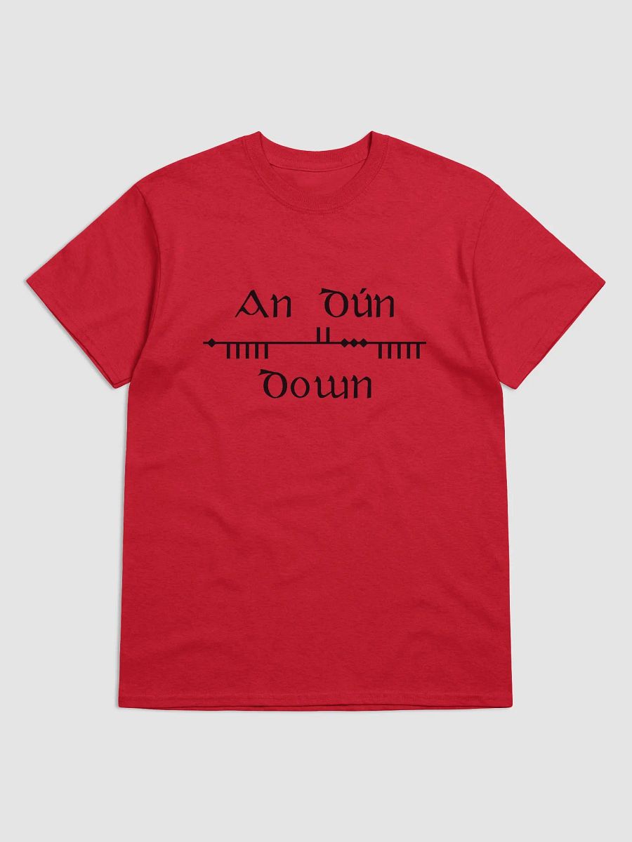 Down/An Dún Scholastic style Ogham Red Printed T-shirt product image (1)