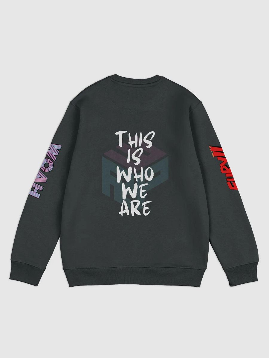 RPW Brand Logos on Arms Hoodie product image (5)