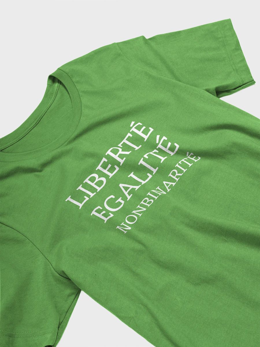 liberte egalite nonbinarite t-shirt product image (3)
