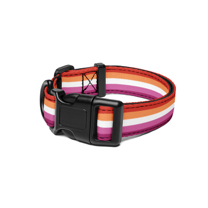 Lesbian Pride Flag Pet Collar product image (1)