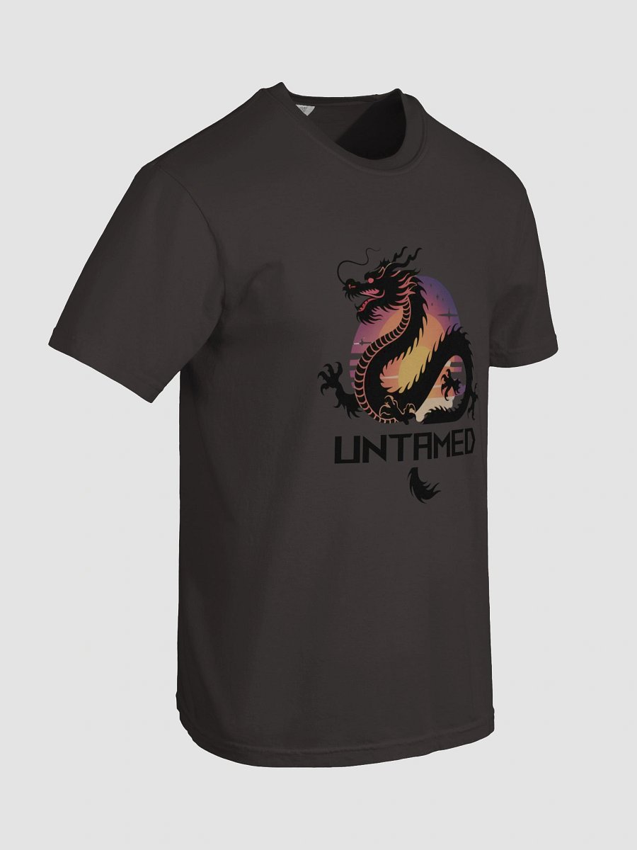 Dragon Sunset Silhouette T-Shirt product image (28)