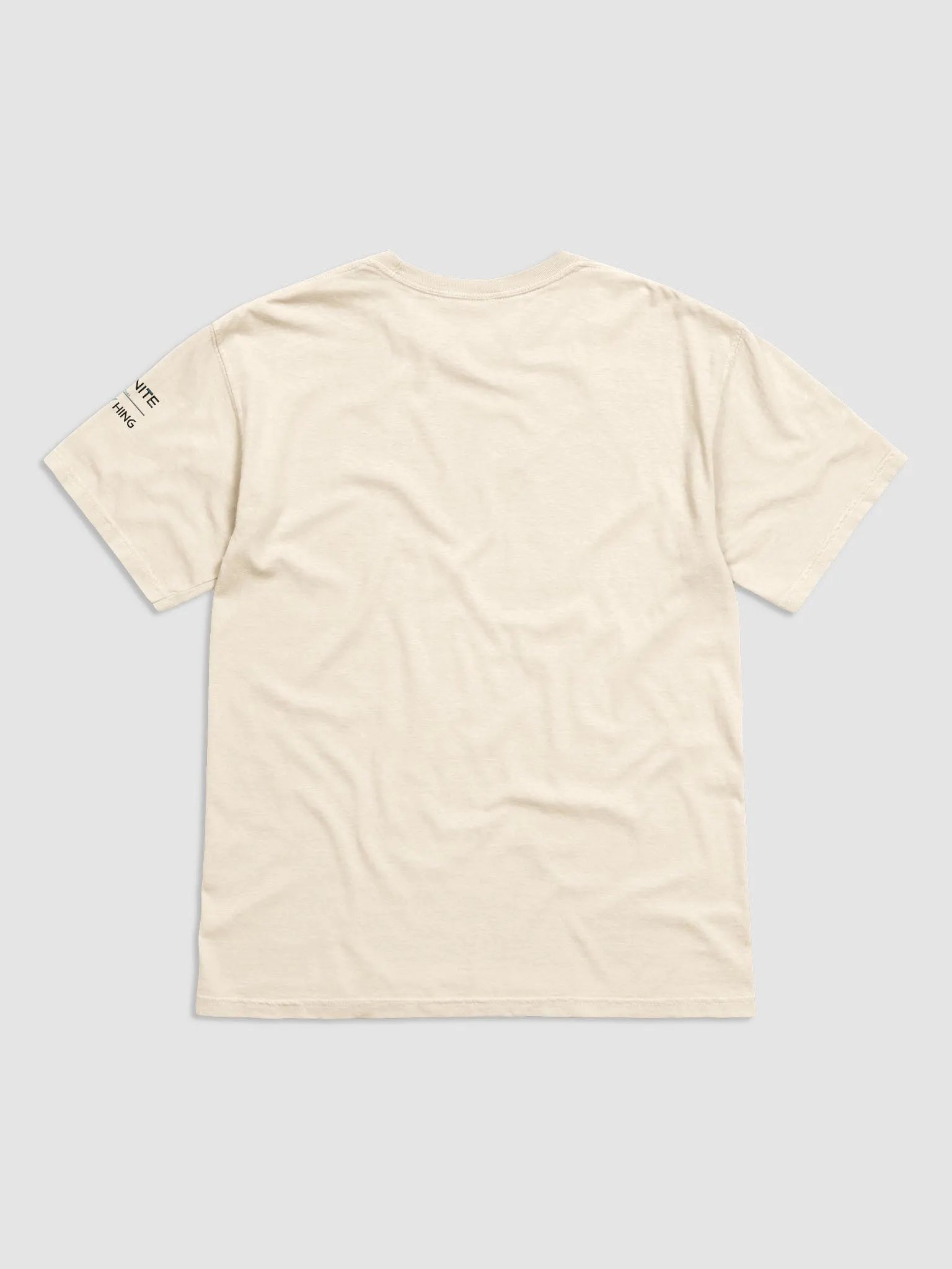 Style Without Limits I&C Heavy T-Shirt product image (2)