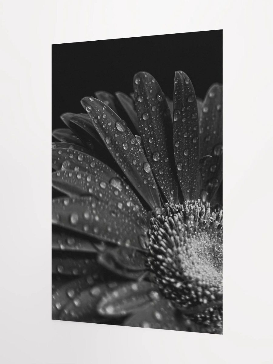Dark Flower product image (8)