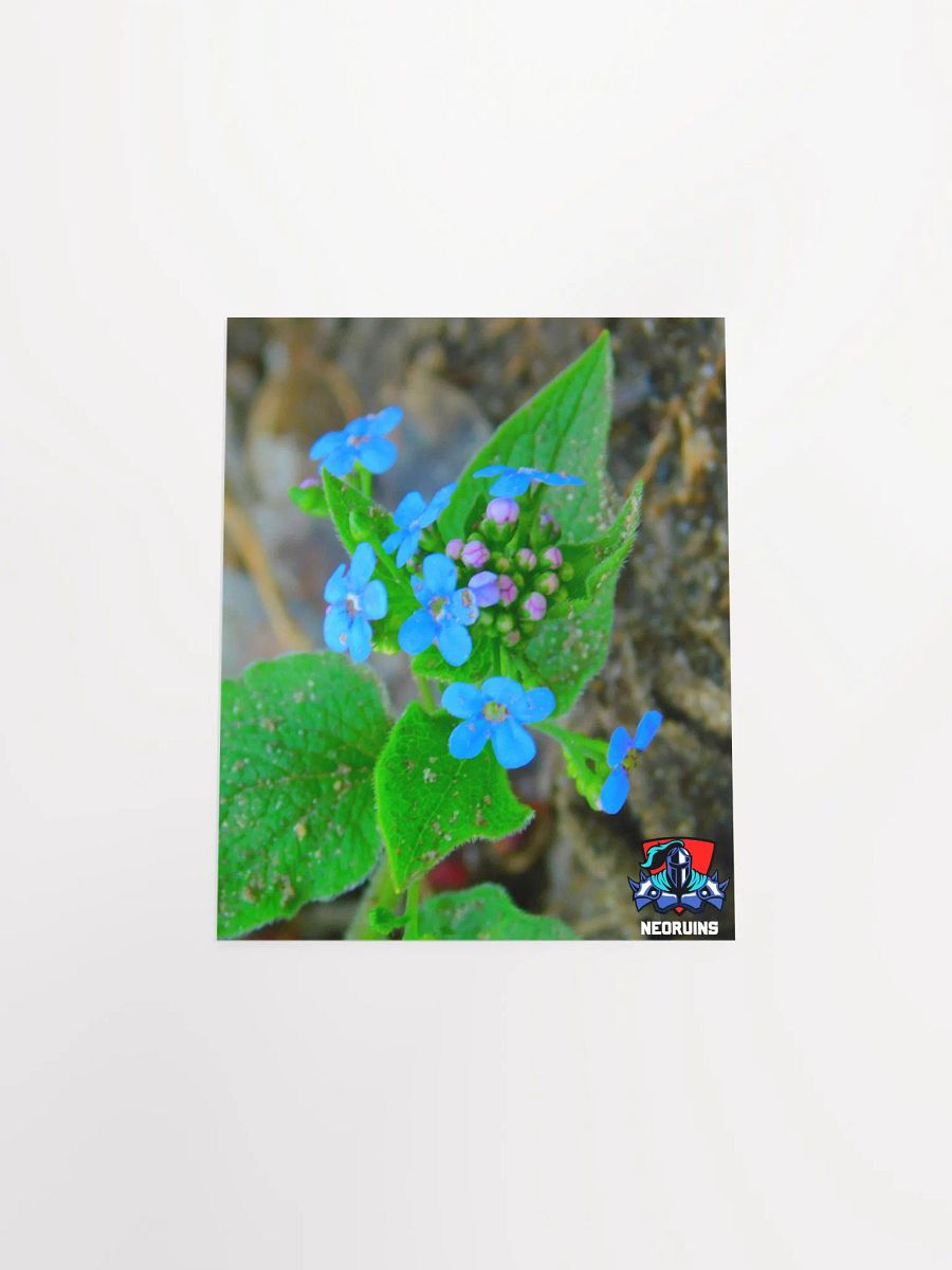 Flower Poster product image (4)