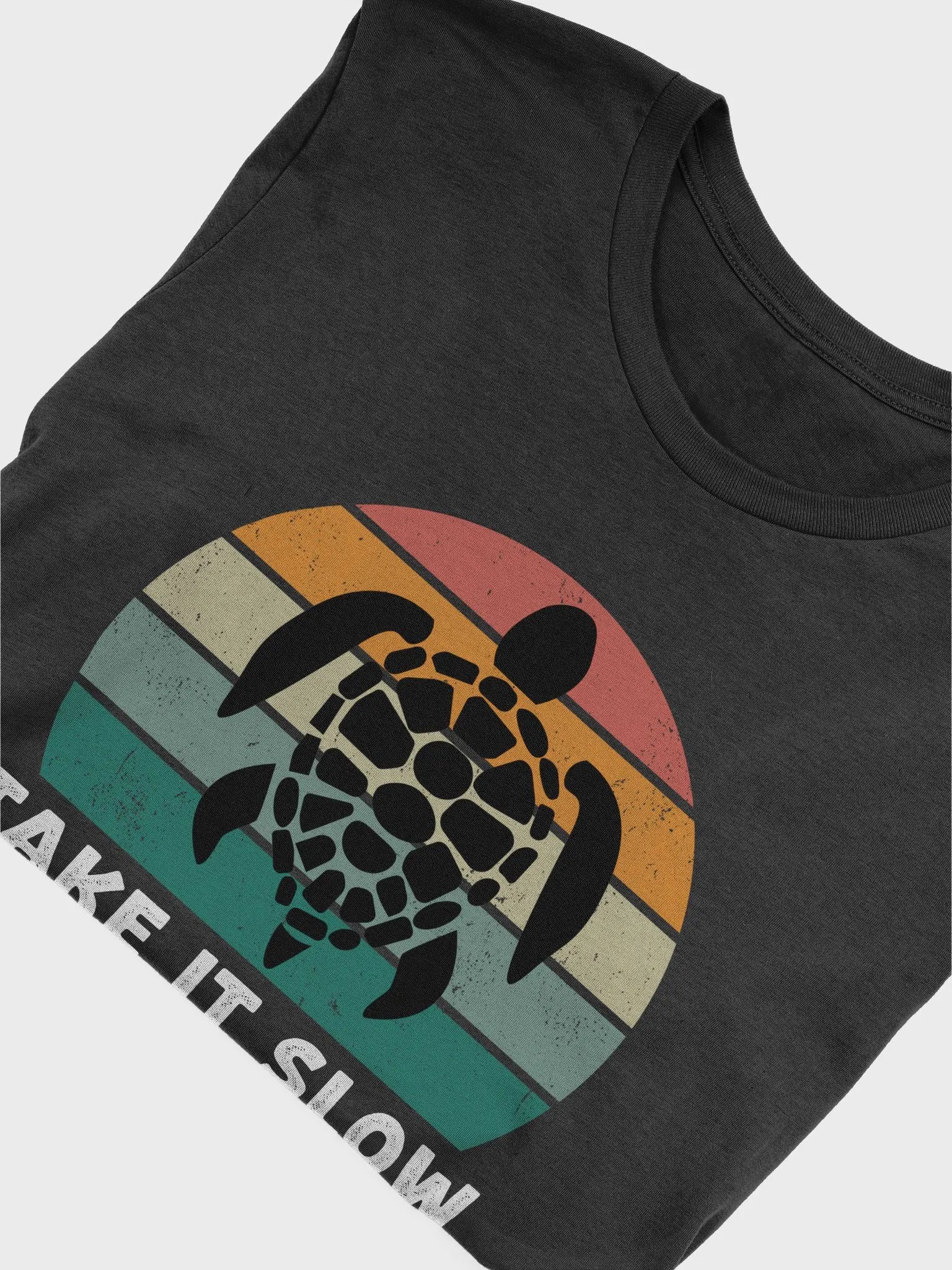 Take It Slow Turtle Vintage Earth Day T-Shirt product image (5)