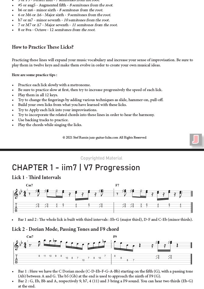 30 Groovy Jazz Guitar Licks - PDF With Audio Files product image (4)