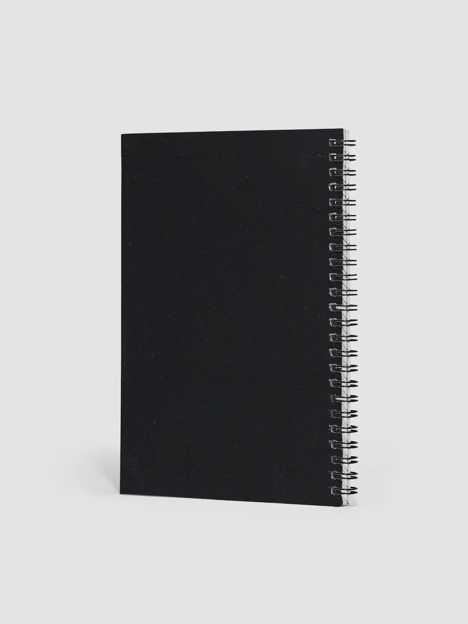 Shane Is Notebook: Logo product image (2)