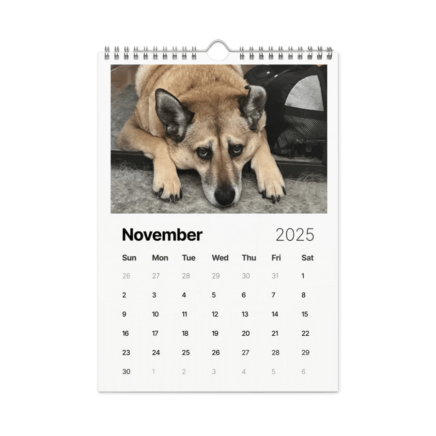 2025 Doggo Calendar product image (11)