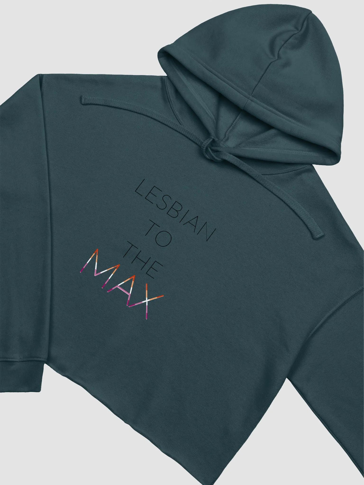 Lesbian To The Max Crop Top Hoodie product image (19)