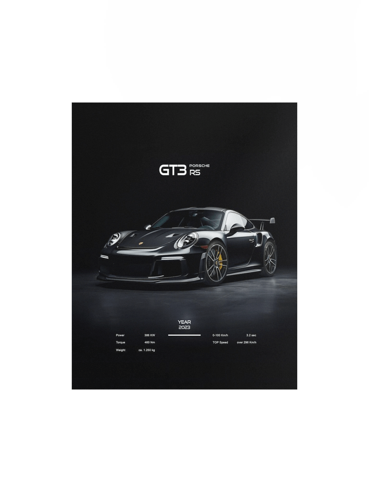 PORSCHE GT3 RS product image (1)