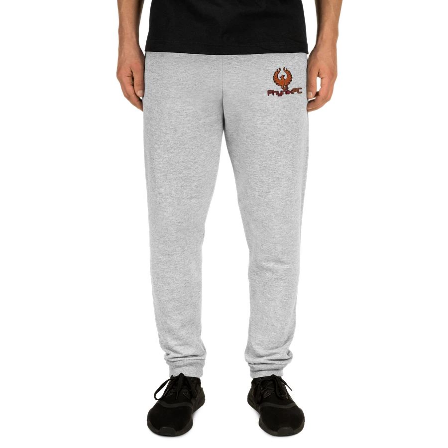 PhynixPC Embroidered Joggers product image (3)