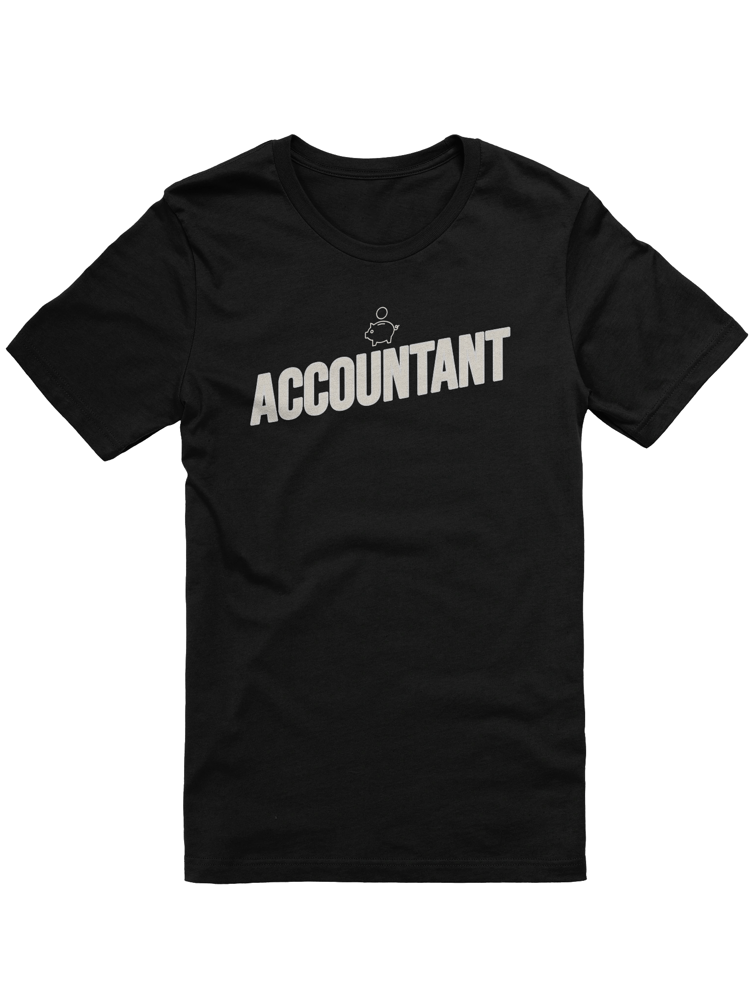 Accountant product image (1)