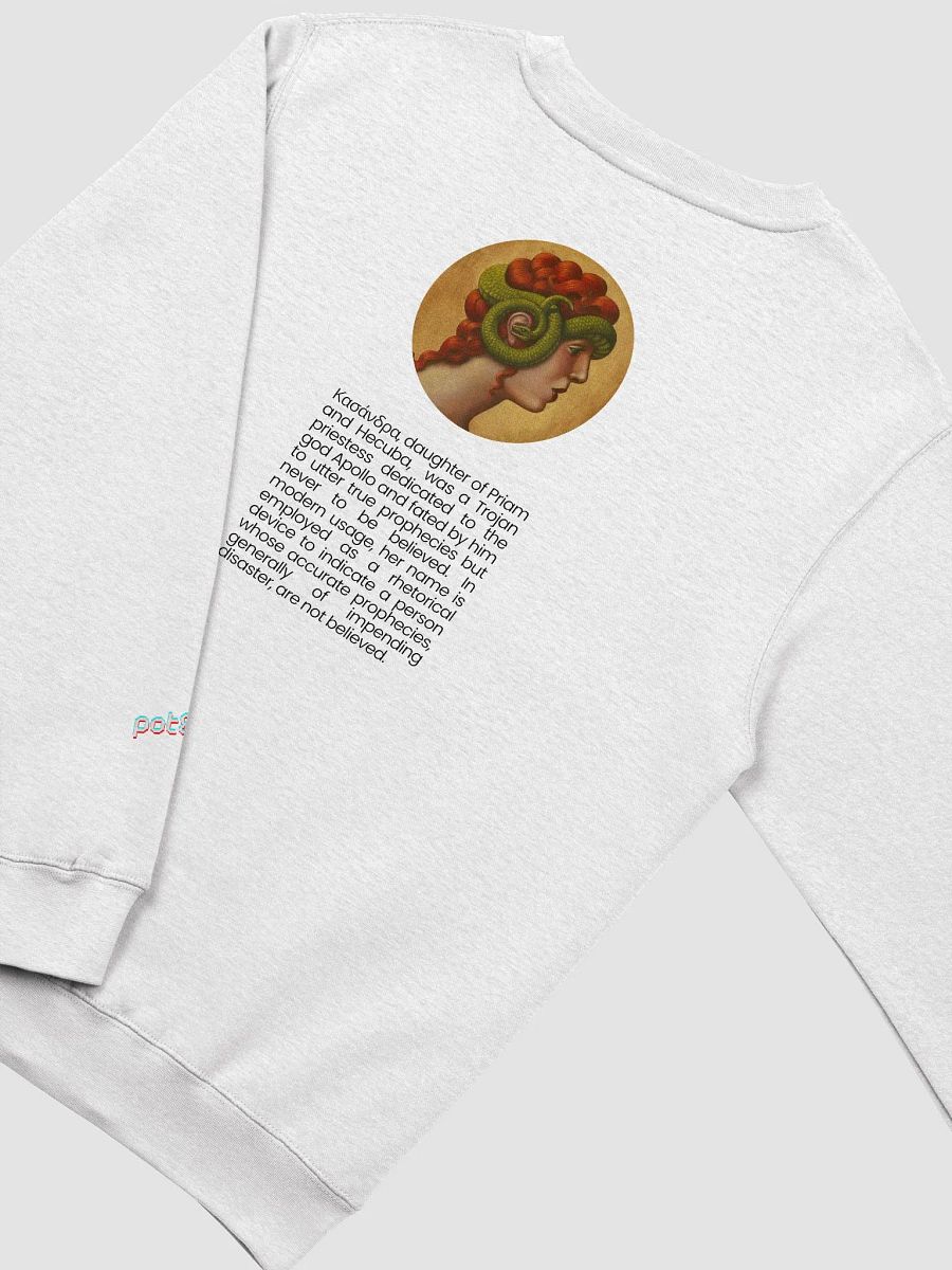 KASSANDRA FORESIGHT premium crewneck sweatshirt product image (8)