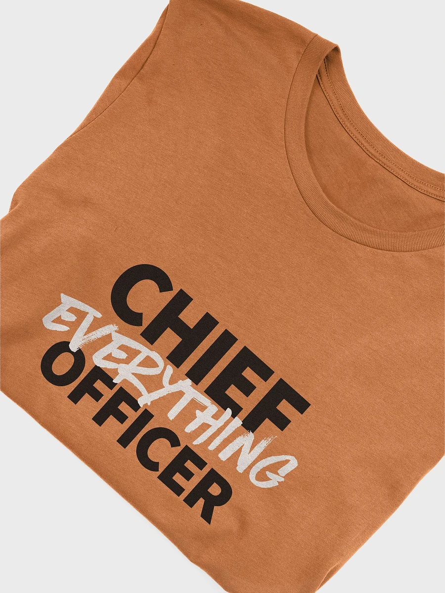 CEO - Chief EVERYTHING Officer t-shirt product image (33)