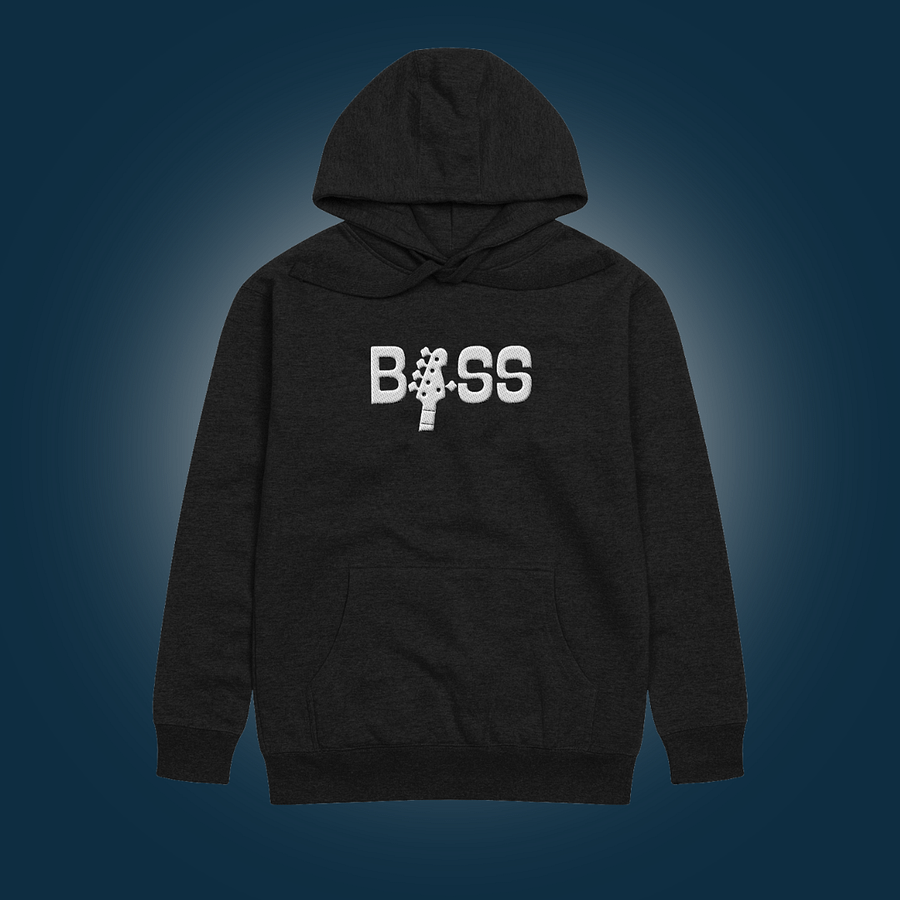 BASS Embroidered Hoodie product image (1)