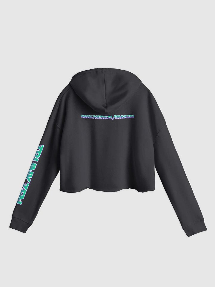 TZ Wholesome w/a little naughty Crop Hoodie product image (12)