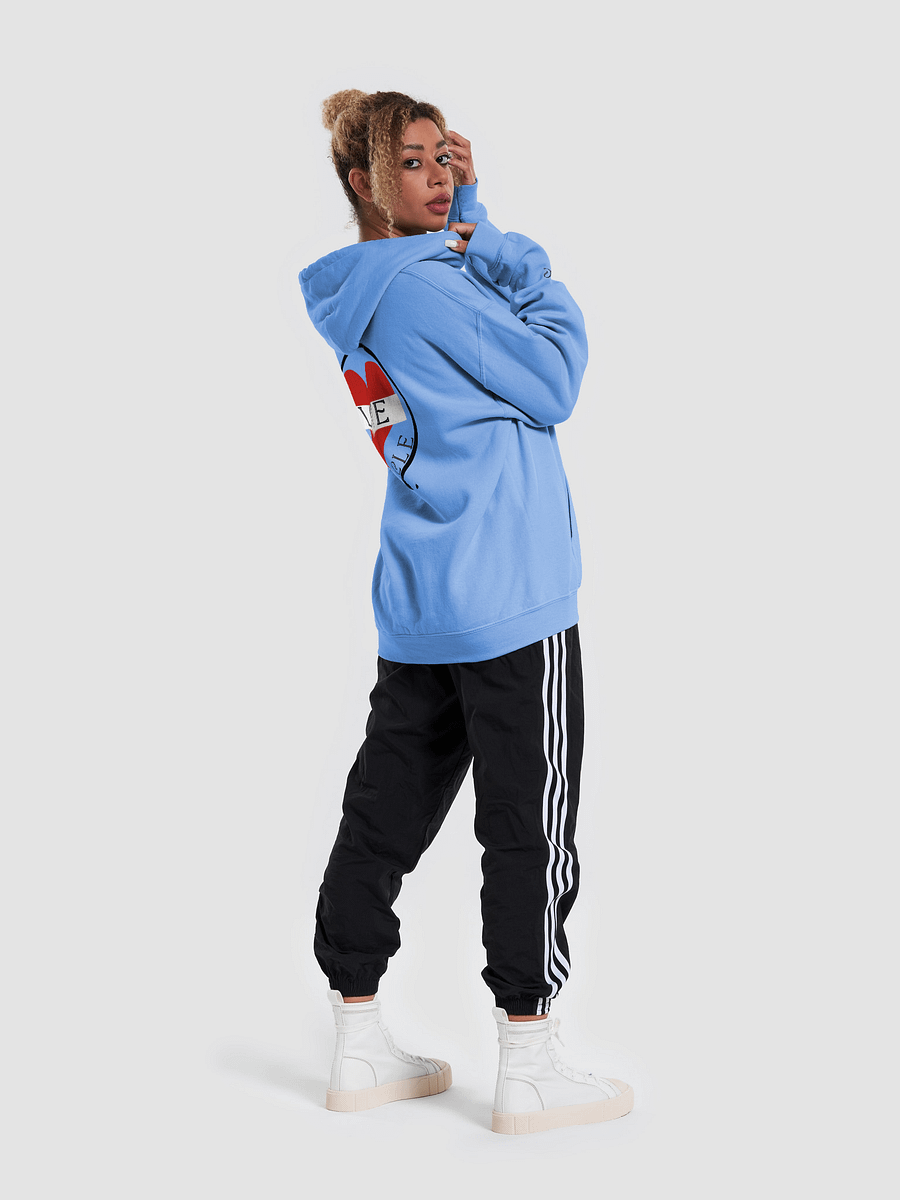 Love Full Circle Hoodie product image (64)