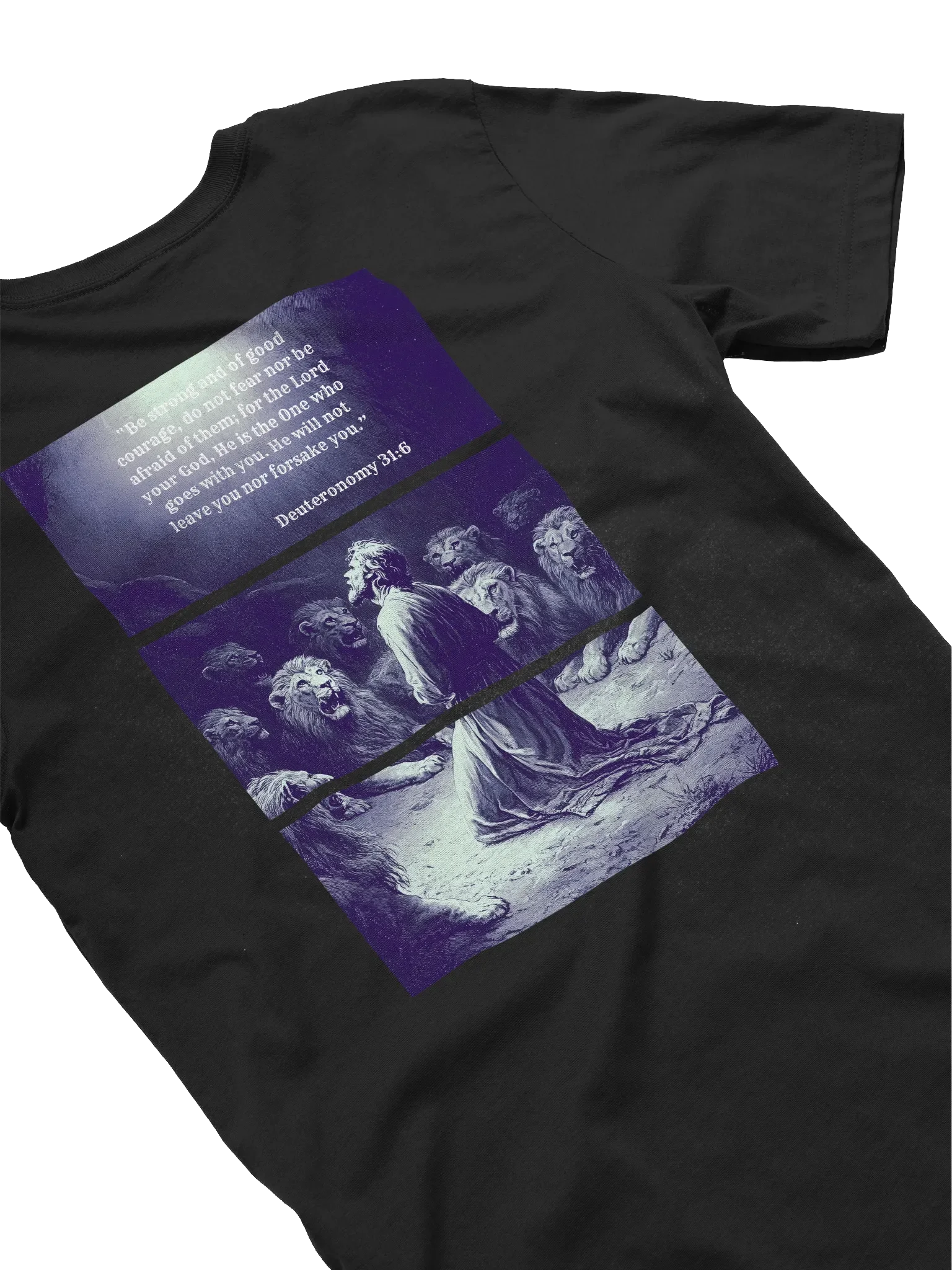 Crowned Lion Resting on Knowledge T-Shirt product image (35)