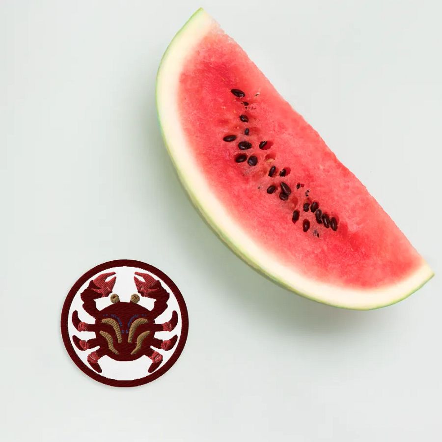 Symmetrical Crab Embroidered Patch product image (12)