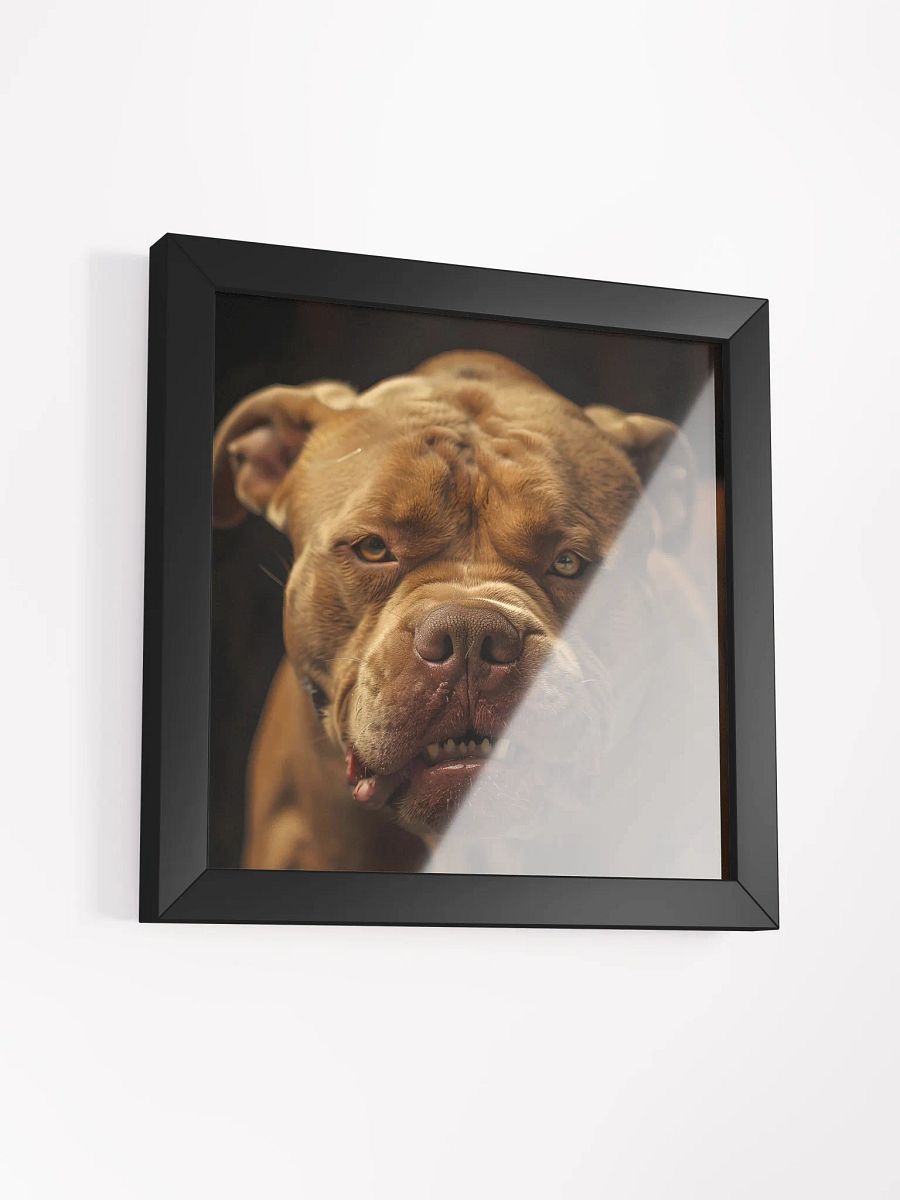 Mad Pitbull product image (35)