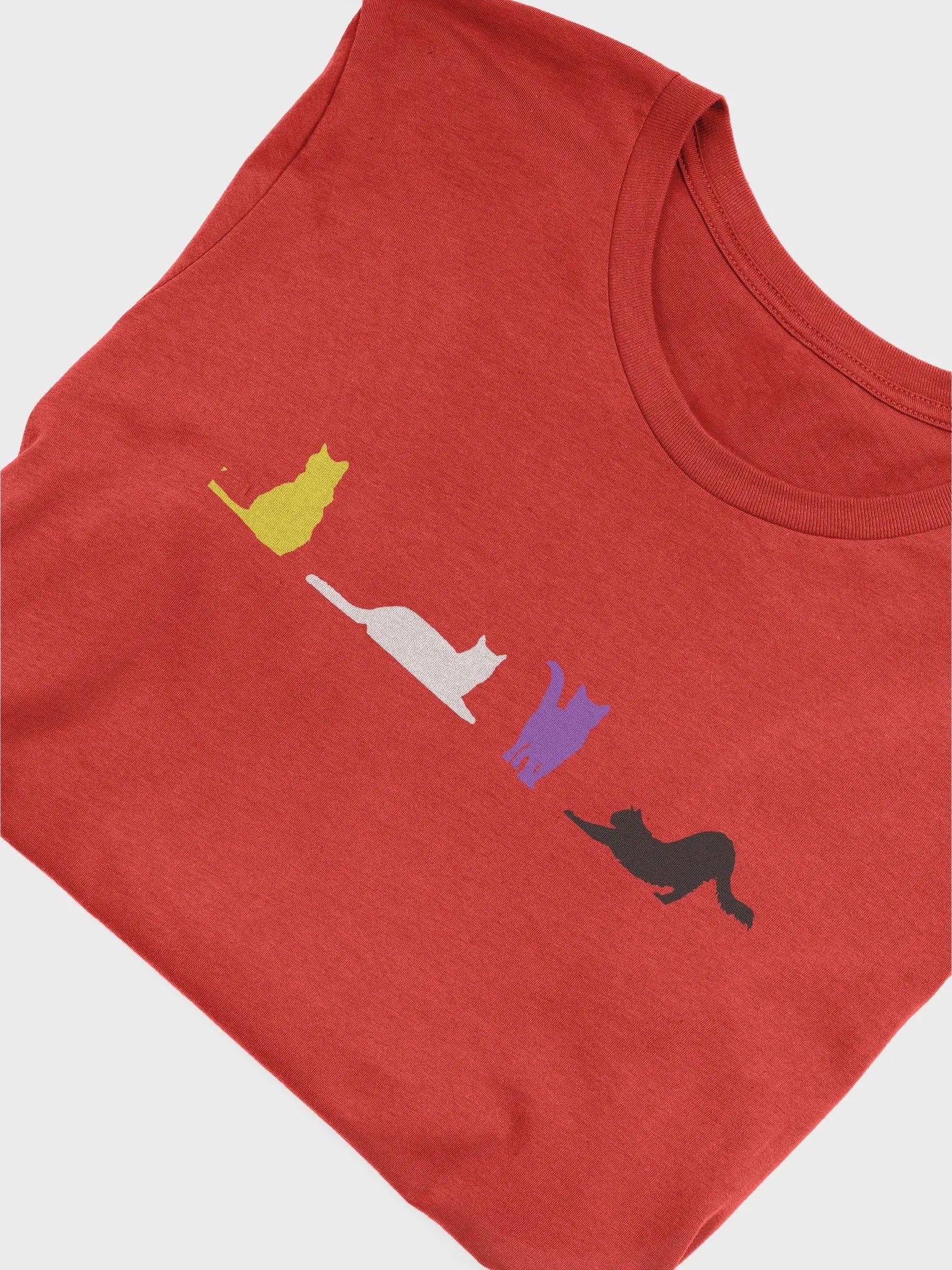 Nonbinary Pride Cats Women's Shirt product image (55)