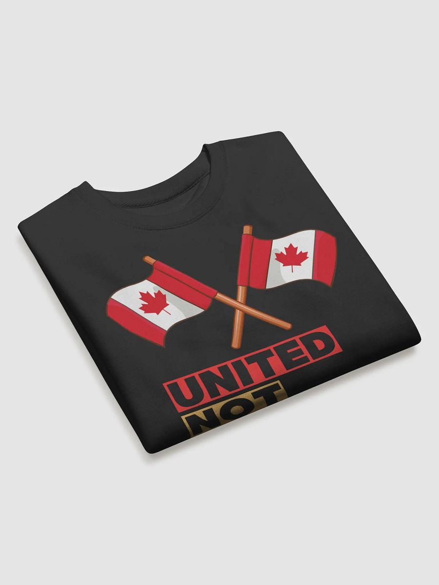 United Not Annexed Canadian Flag Sweatshirt product image (22)