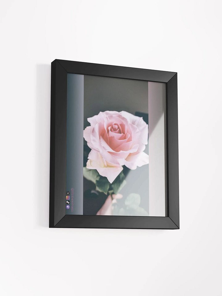 Elegant Rose Photography Print product image (2)