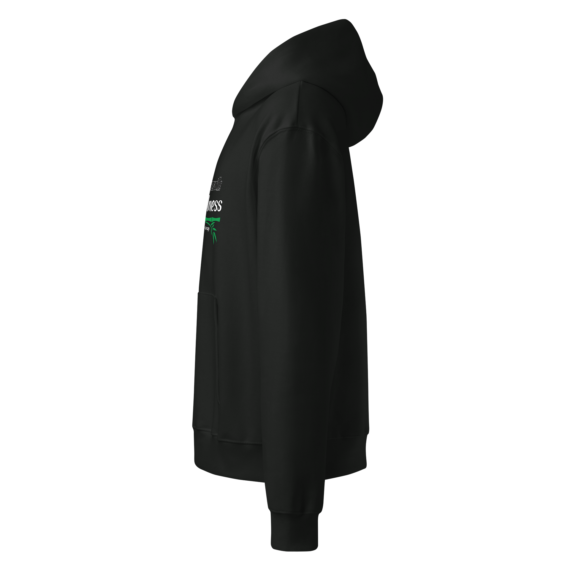 Waynesville Wellness Hoodie product image (19)