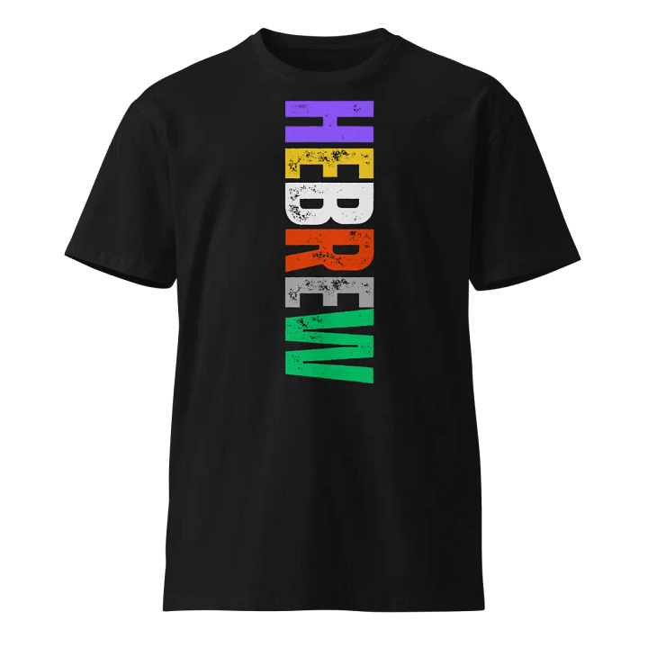 PHS Vertical Hebrew Tee product image (1)