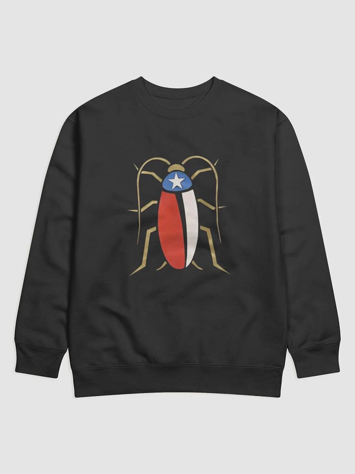 Texas Flag product image (1)