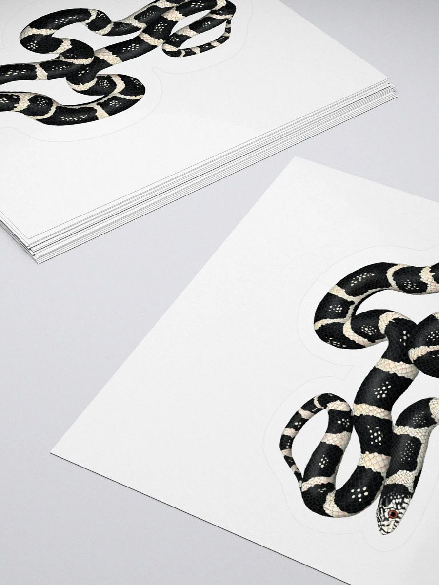 Die-Cut Sticker – Longnosed Snake Clarus Phase product image (4)