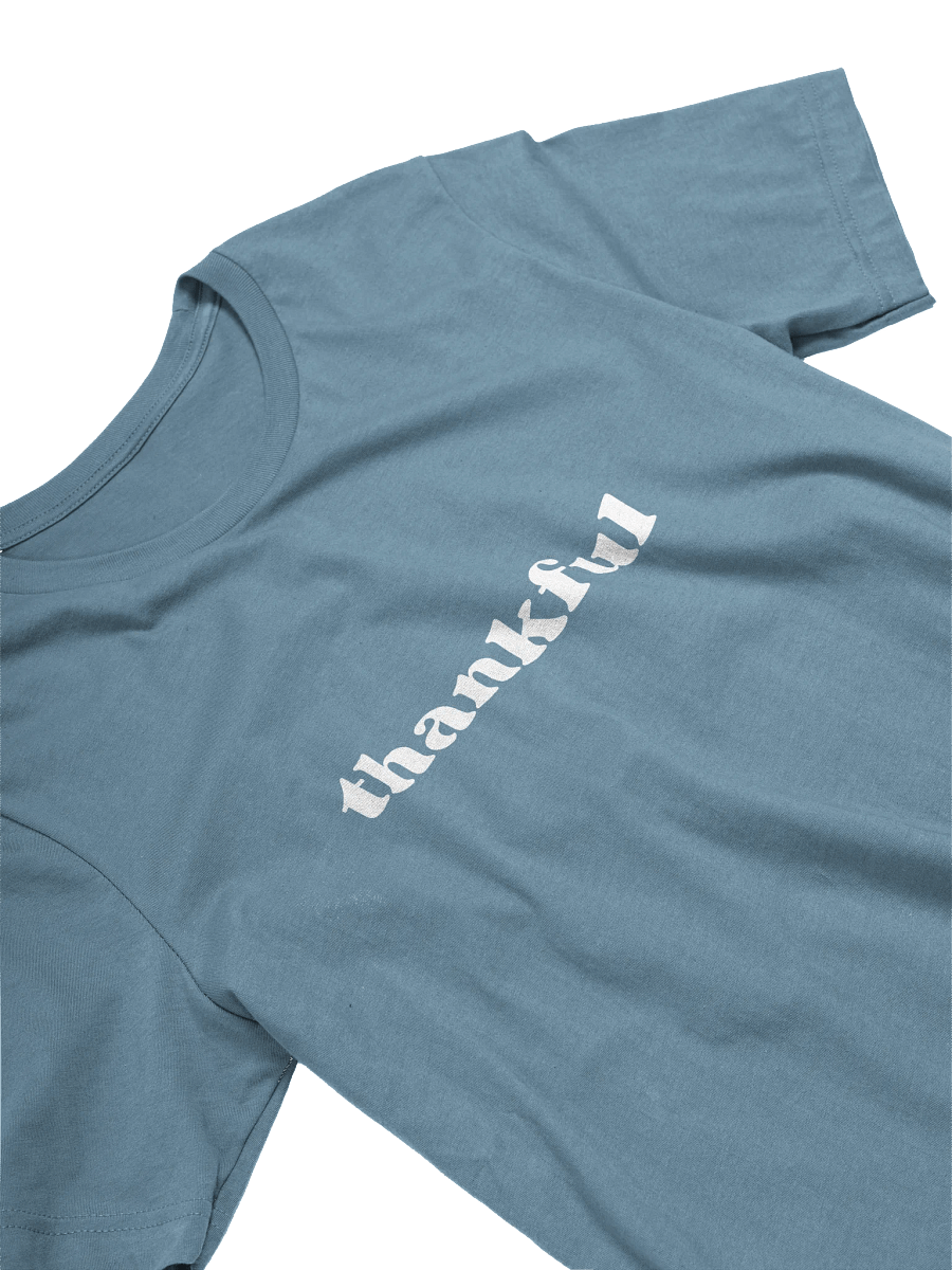 thankful t-shirt product image (25)