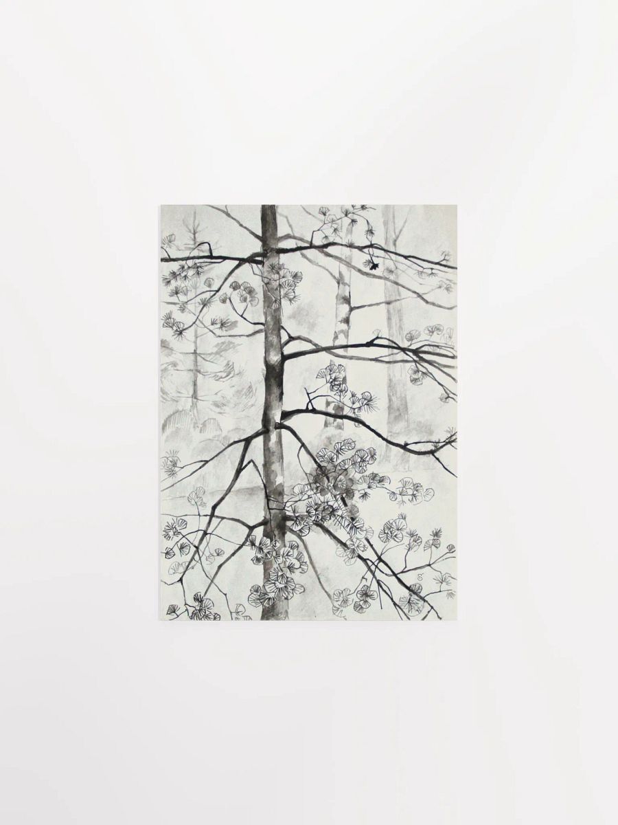 Young Pine Tree Sketch Poster - Young Pine Tree product image (1)