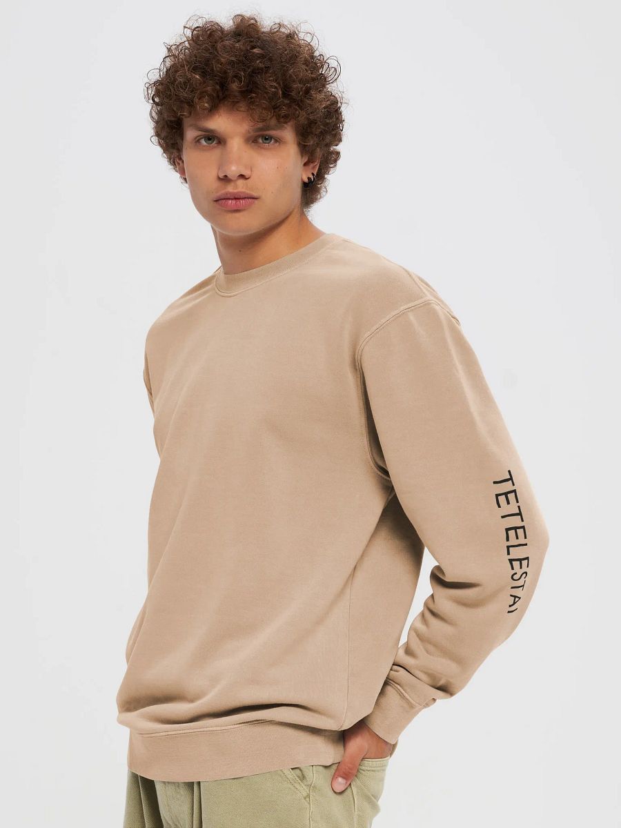 TELETSTAI Vintage Pigment Dyed Sweatshirt product image (15)