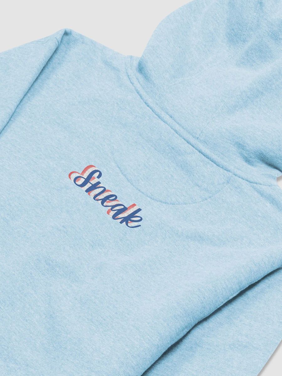 Flower Fox Hoodie - July 4th (Front & Back) product image (45)