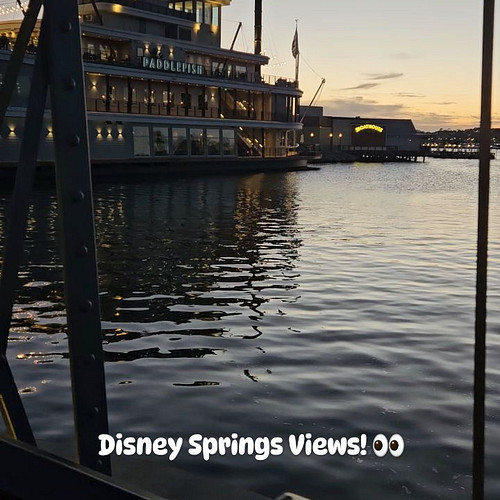 💕 Disney Springs Views!!! 💕

Such a vibe at night overlooking the water at Disney Springs. ✨️ We highly recommend Paddelfish ...