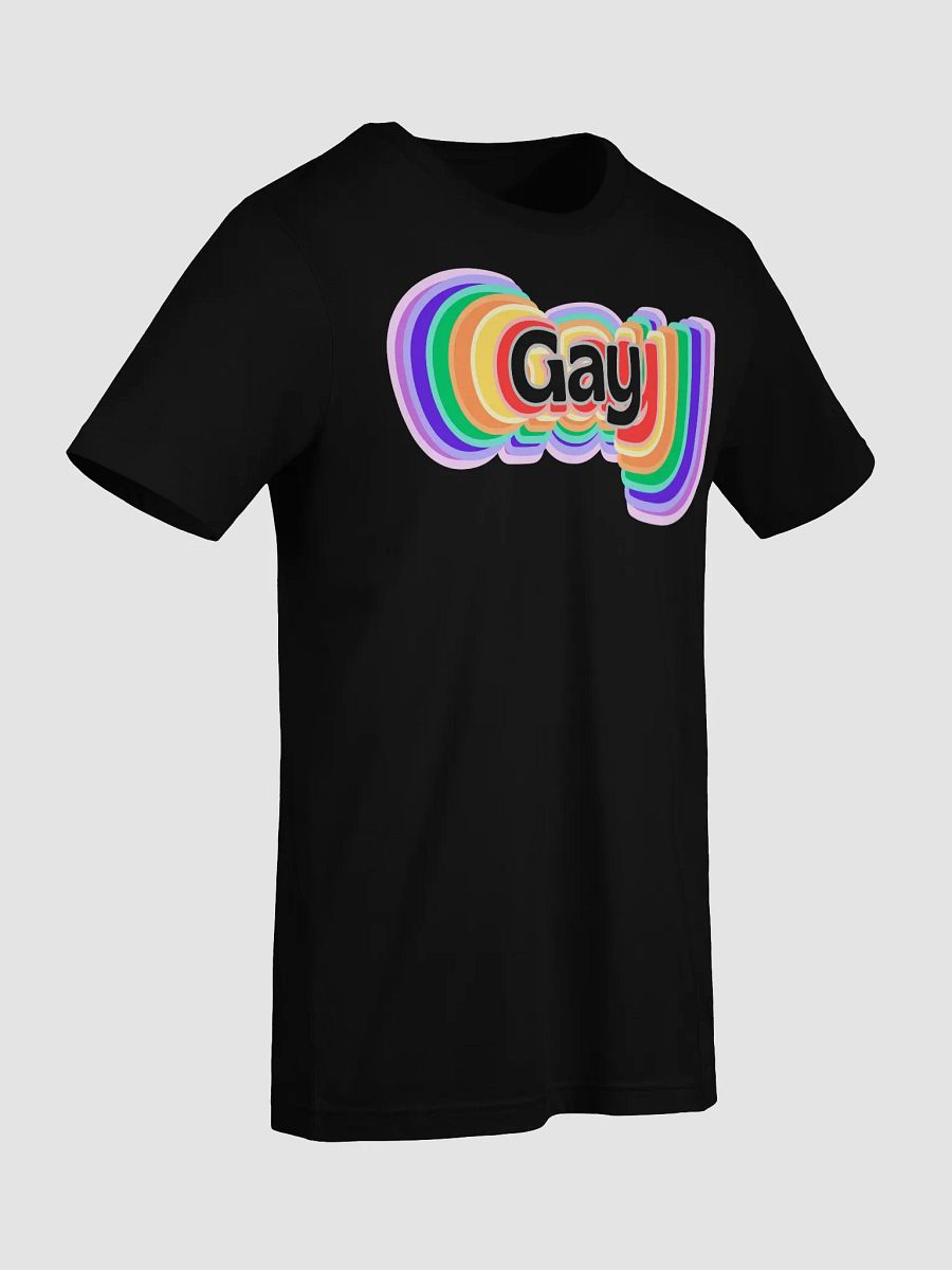 LGBTQIA2S+ 2025, Gay in Rainbow, Black Tee product image (9)