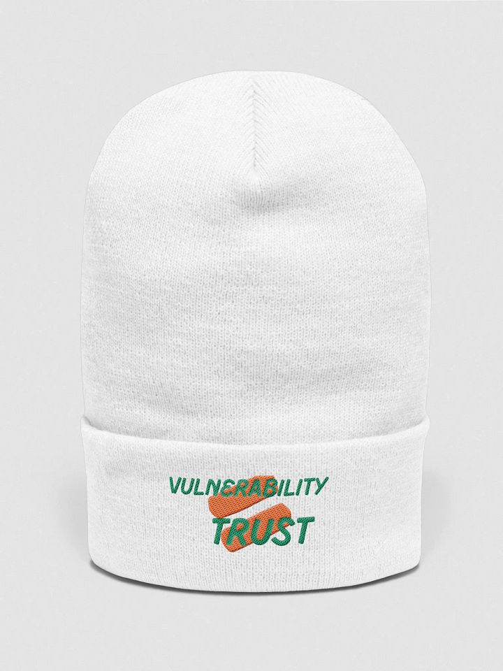 Vulnerability Skullee product image (2)