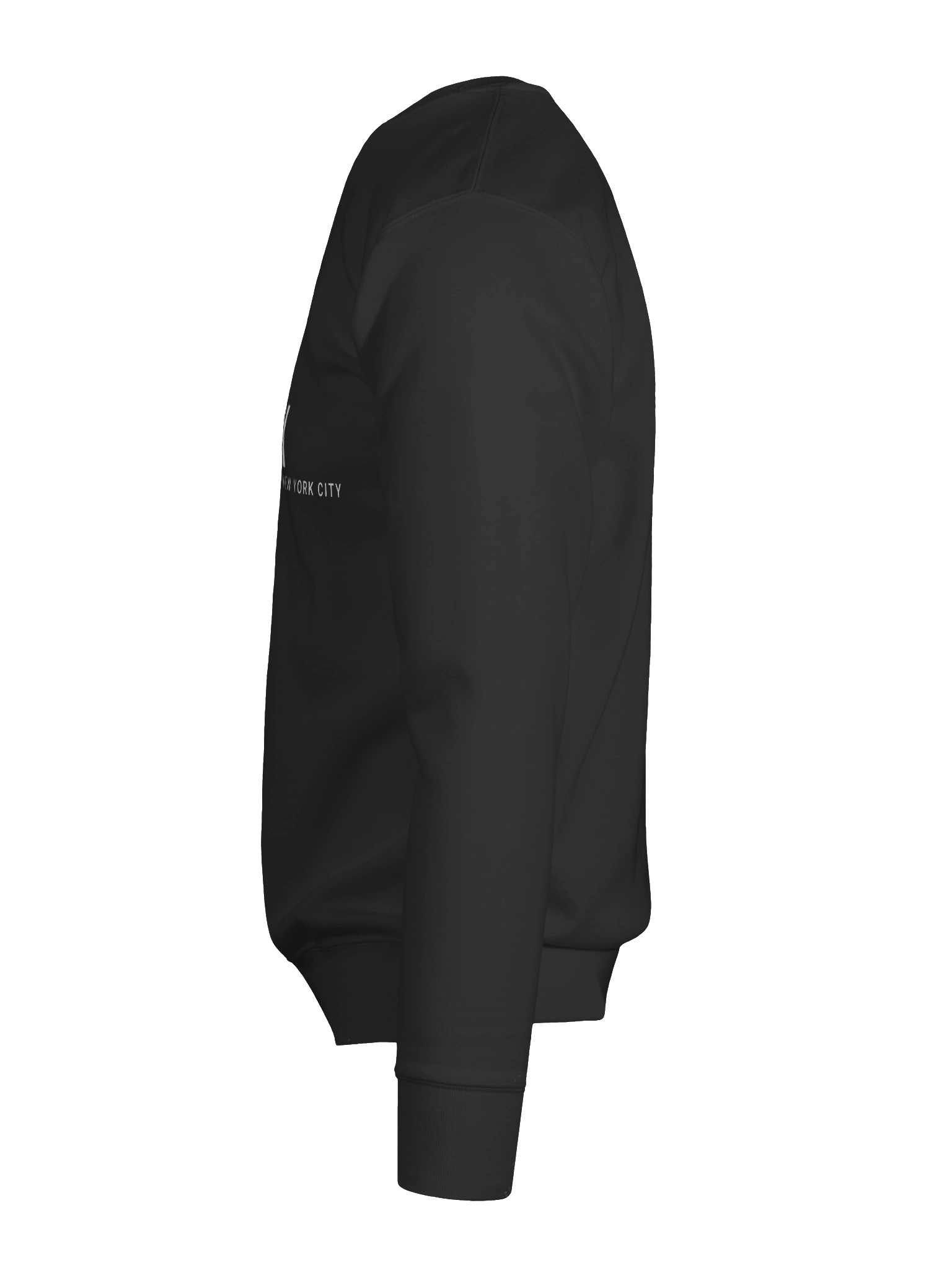 I AM The Bronx : Sweatshirt product image (12)