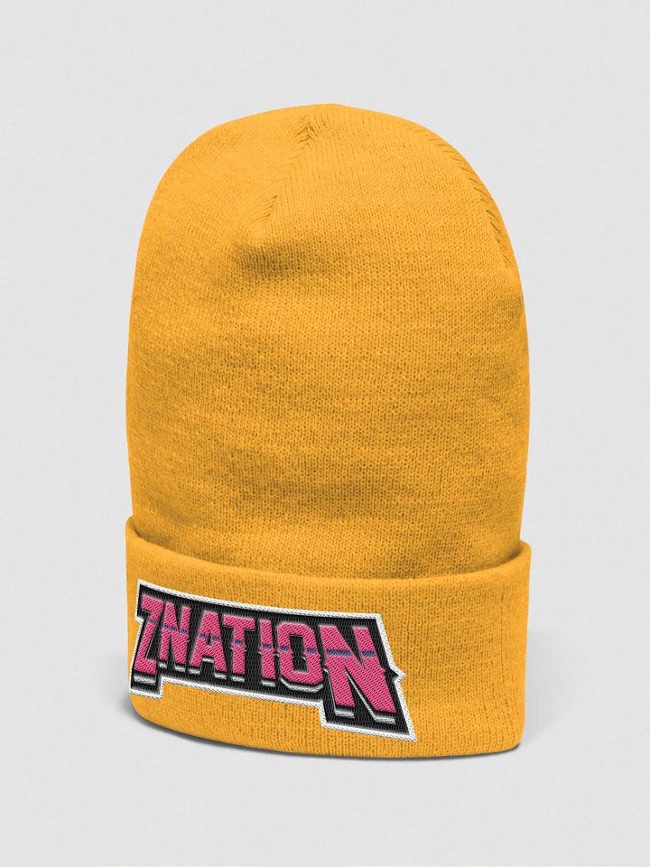 Z Nation Beenie product image (16)