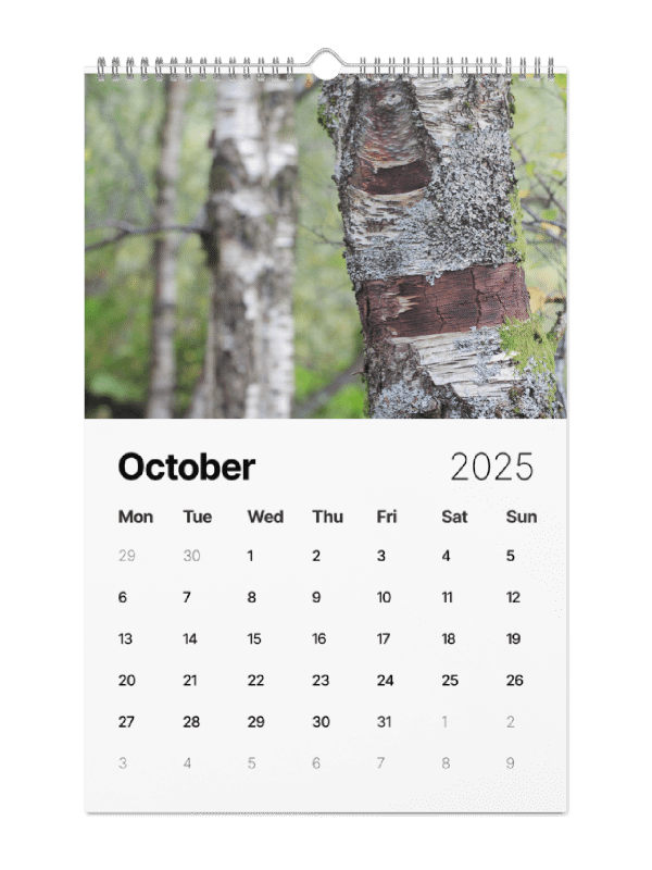Trees Calendar 2025 product image (2)
