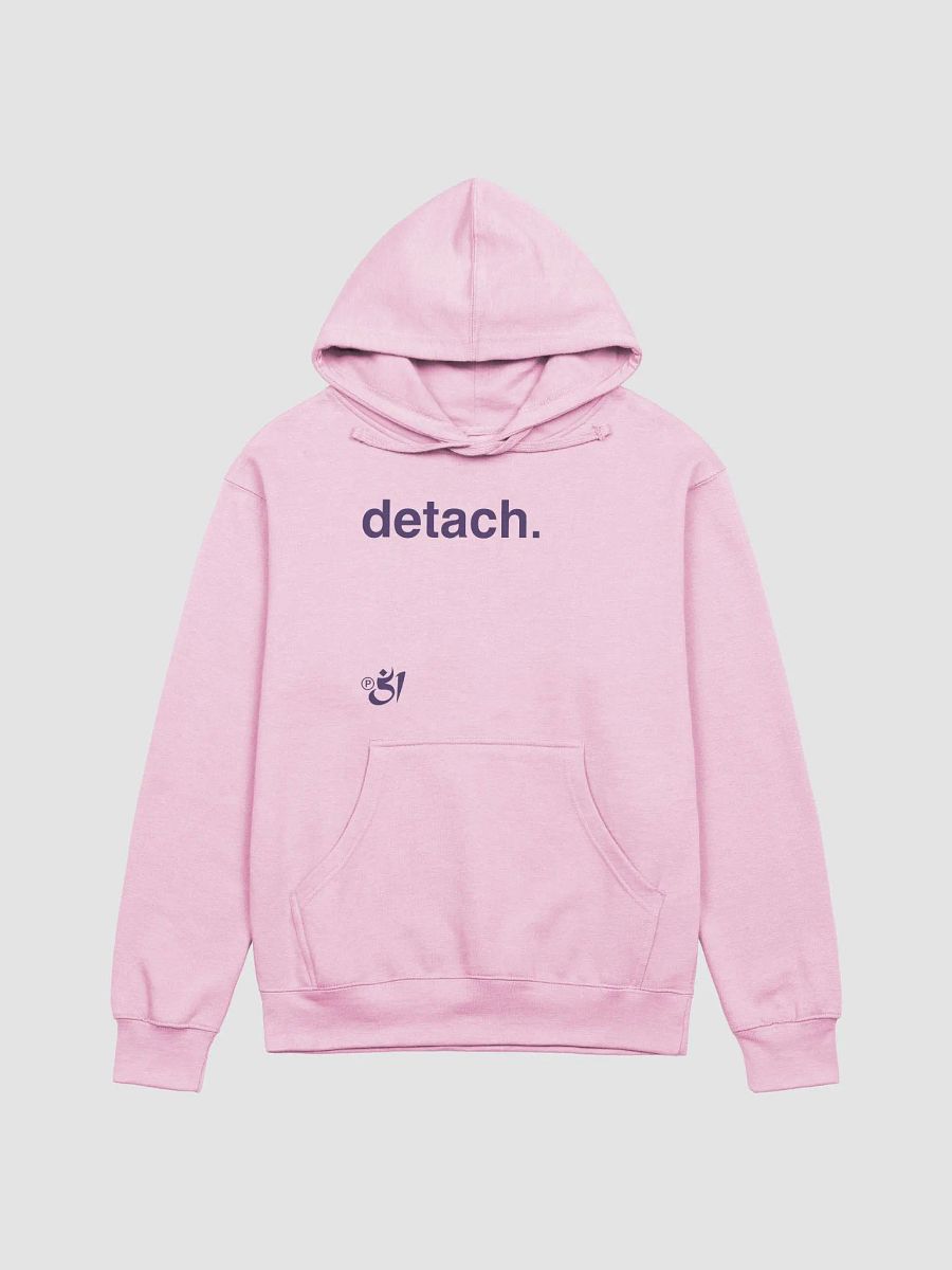 detach. hoodie product image (1)