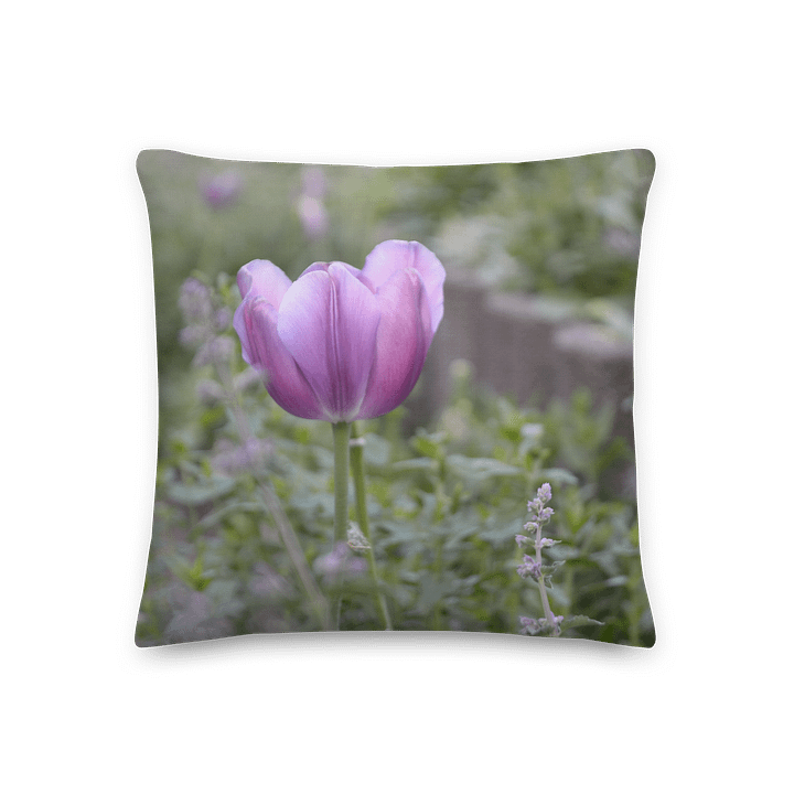 Premium-Kissen - Lila Tulpe product image (2)